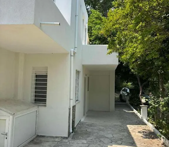 Natural White Messonette *